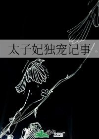 太子妃獨寵記事